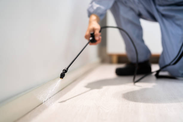 Licensed Termite Control service in Delta Junction, AK - Nex Pest Control