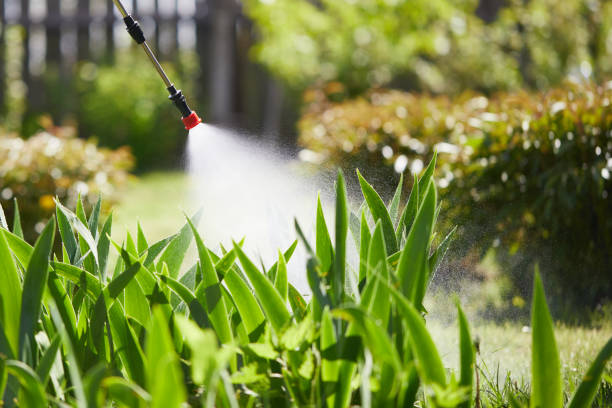 24/7 Emergency Termite Control experts in Delta Junction, AK