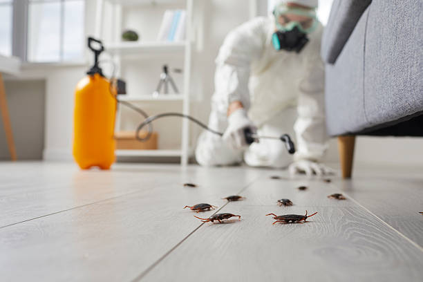 Affordable Termite Control solutions in Delta Junction, AK