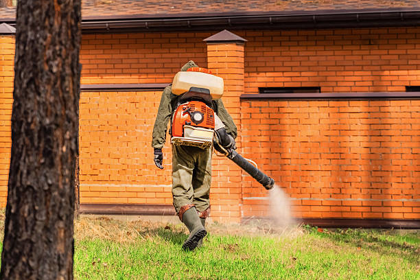 Top rated local Termite Control specialists in Delta Junction, AK